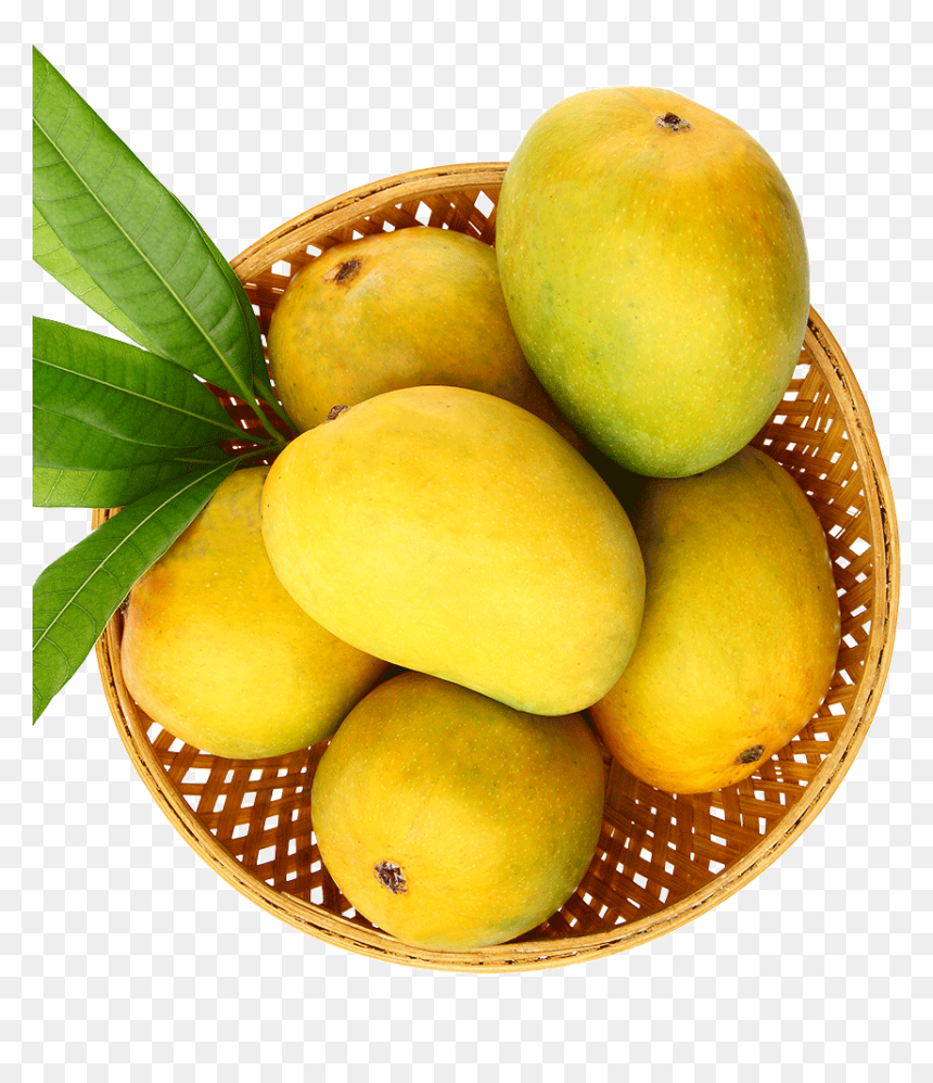 Mangoes in Basket